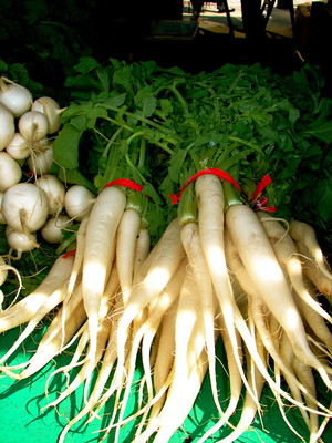 Park Slope/Gowanus Indoor Winter Farmers Market