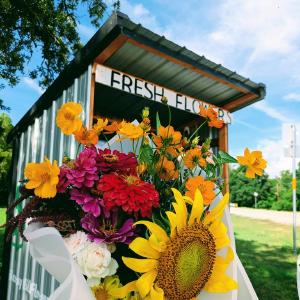 Sunny Hill Flower Farm