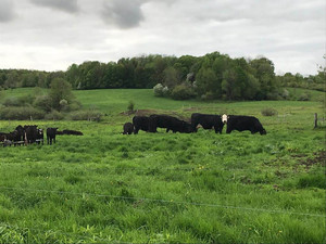 Hidden Hill Ranch