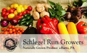 Schlegel Run Growers