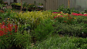 Left Field Farm