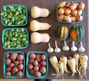 Bountiful Beloit