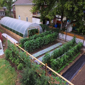 Chain Reaction Urban Farm