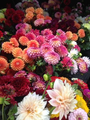 The Bloomery