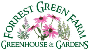 Forrest Green Farm