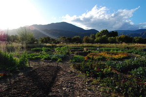 Mano Farm
