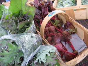 Falmouth Farmers' Market