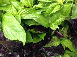 Dillsburg Farmers' Market