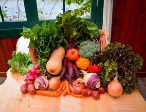 Gathering Together Farm