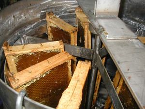 Ohio Honey Company - Wellhausen Apiaries