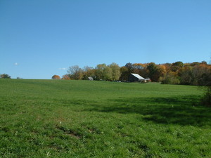 Long Farms