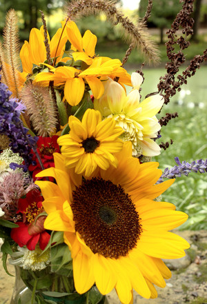 Trademarks Flower Farm
