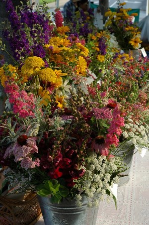 Flower Fields