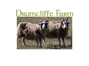 Drumcliffe Farm