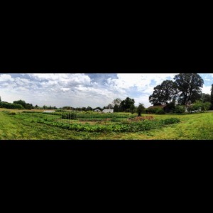 Slow Hand Farm