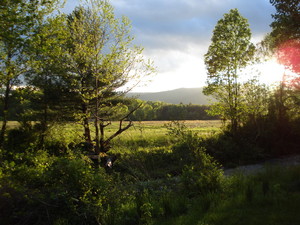 Four Hands Farm
