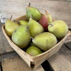 Agriberry Farm and CSA