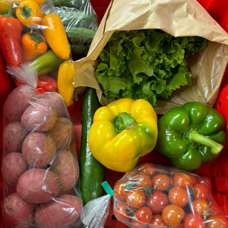 Sunshine Market Garden Ltd.