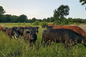 J & L Green Farm