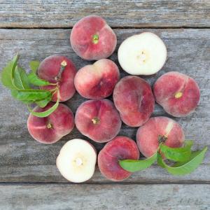 Frog Hollow Farm CSA