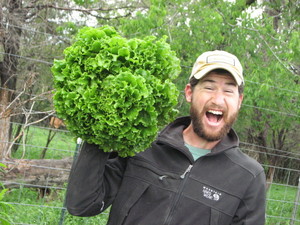 Texas Daily Harvest