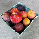 Agriberry Farm and CSA