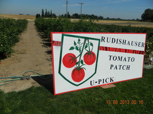 Rudishauser Tomato Patch
