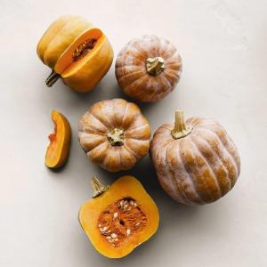 Harvest Tide Organics