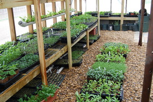 Pfannenstiels Market at the farm