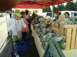 Lower Valley Farm
