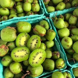 Agriberry Farm and CSA