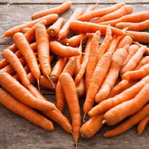 Harvest Tide Organics