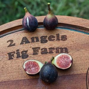 2 Angels Farm