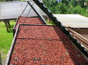 Original Hawaiian Chocolate Factory