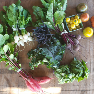 Pink Moon Farm