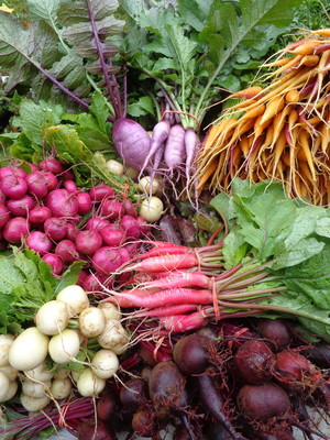 Primaterra Farm