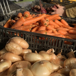 Wobbly Cart Farm