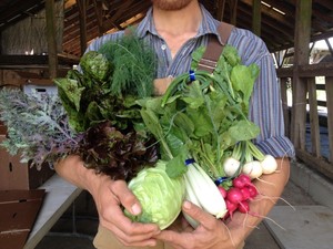 Local Roots Farm
