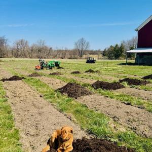 Stickle Family Farm