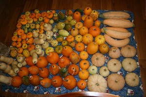 Abbott Farms
