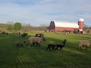 Shepherd's Cross & Heart of the Shepherd