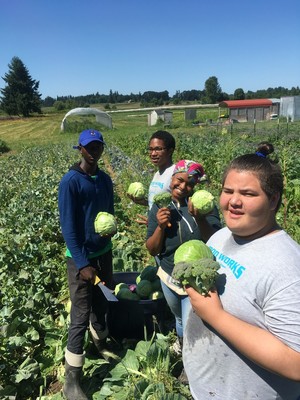 Food Works - Village Gardens