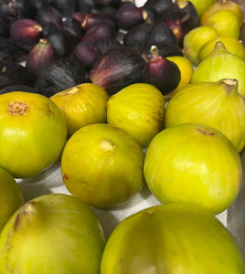 Macala Orchards