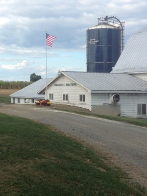 Sprucegate Holsteins