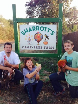 Sharrott's Cage-Free Farm