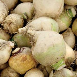 Farm Picked LLC