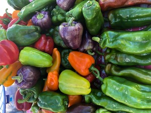 Gladstone Farmers Market
