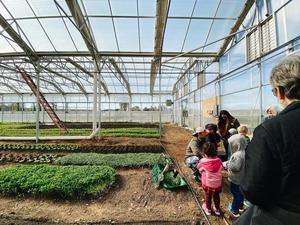 Mary's Land Farm