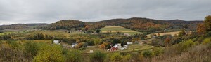 New View Farm