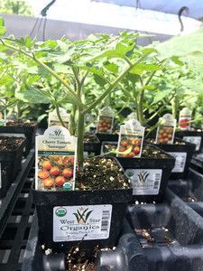 West Star Organics